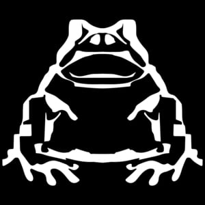 Alicia Villarreal Tour 2025